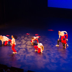 d7k_1539_carrysize_cr_30244390987_o.jpg